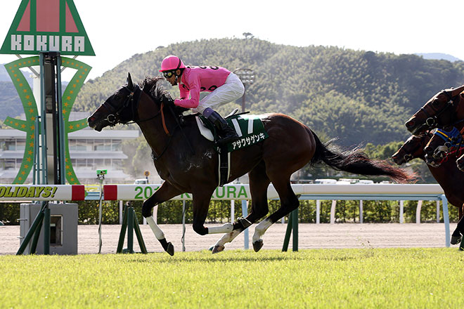 �A�T�N�T�Q���L