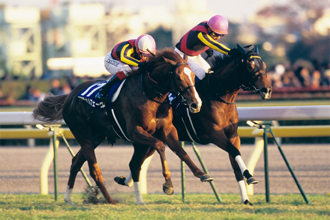 ジェンティルドンナ