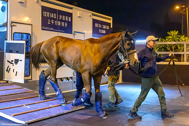 アーバンシック