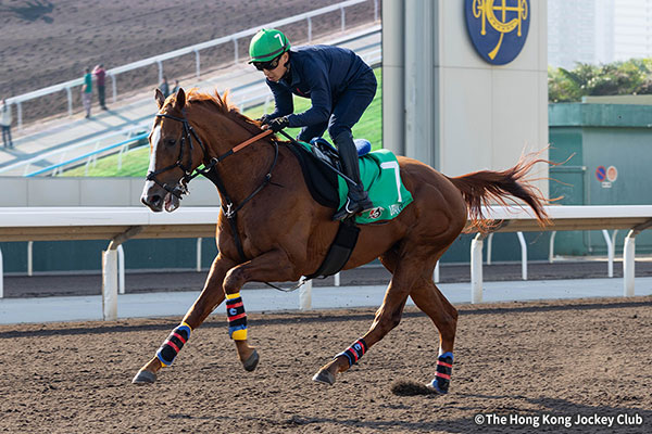 アーバンシック