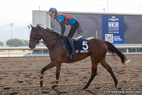 エンブロイダリー