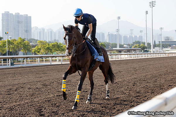 ローシャムパーク