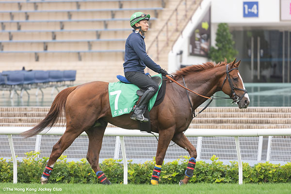 アーバンシック