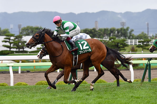 �u�g���h�[��