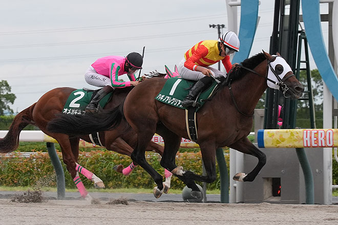 ハギノアレグリアス