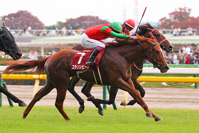 �R���\���r�[�g