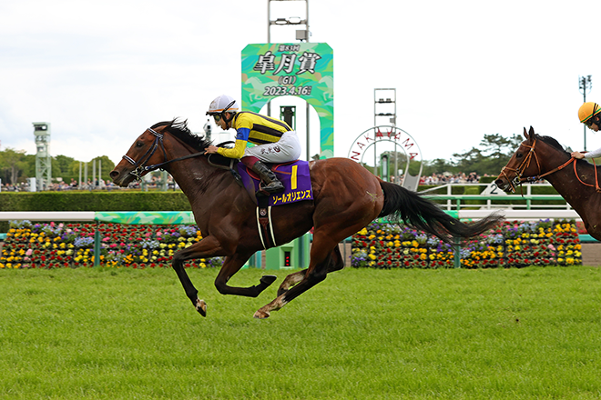 �\�[���I���G���X