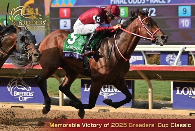 記念ポストカード