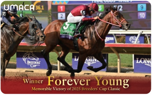 UMACAカード用 オリジナル着せ替えステッカー