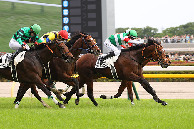 �^�X�e�B�G�[��