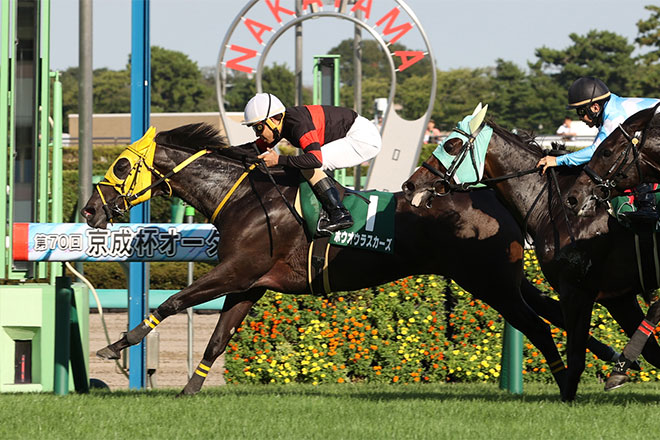 �z�E�I�E���X�J�[�Y