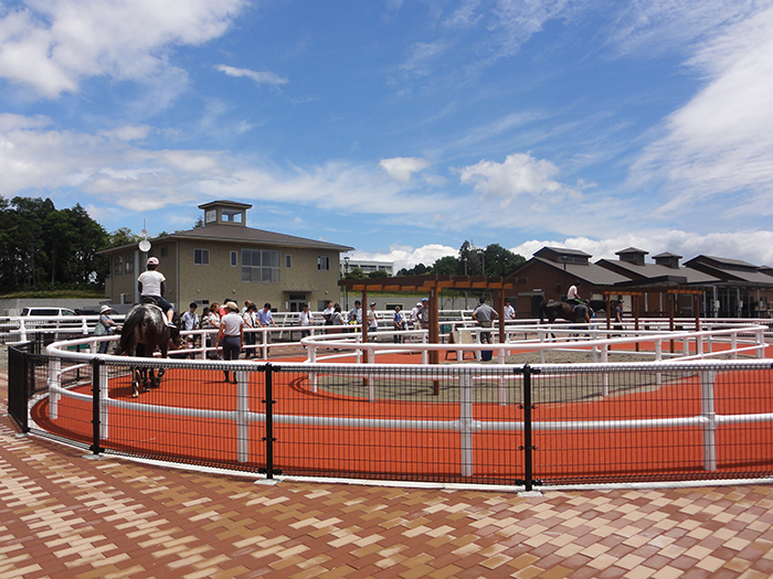 �u�t�@�~���[�Ŕn�ɐe���ޓ��v 1