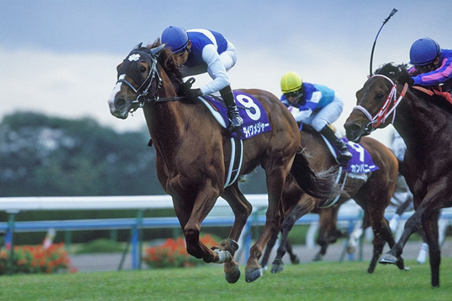 �_�C�����W���[