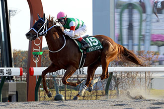 セラフィックコール