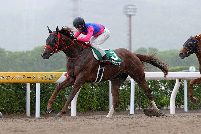 ���C�V���E�J�Y�T