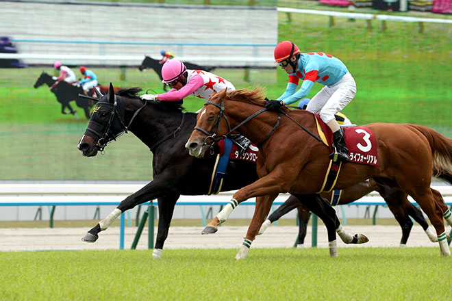 �_�C�V���N���[�o�[