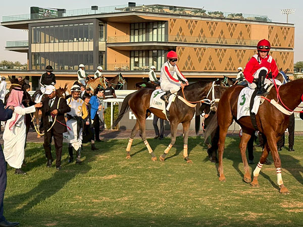 �C���^�[�i�V���i���W���b�L�[�Y�`�������W