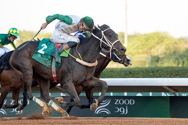 �T�E�W�_�[�r�[�@�A���n����