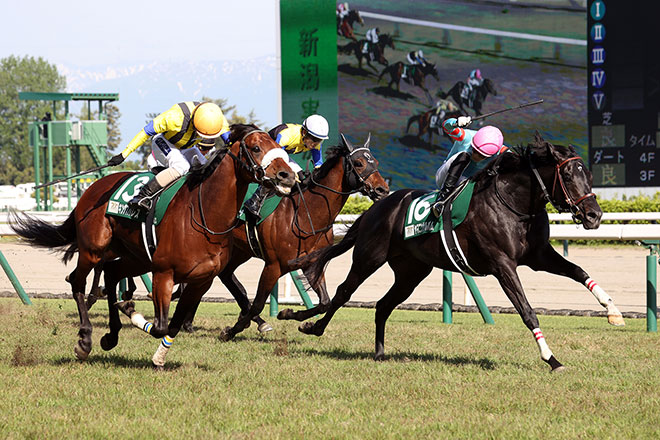 ���}�j���T���o��