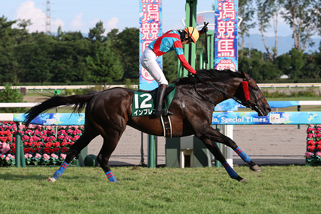 �C���v���X