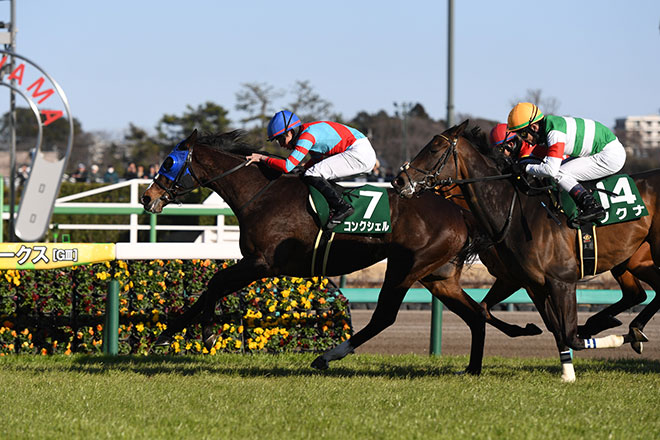 �R���N�V�F��