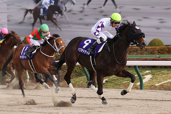 �y�v�`�h�i�C��