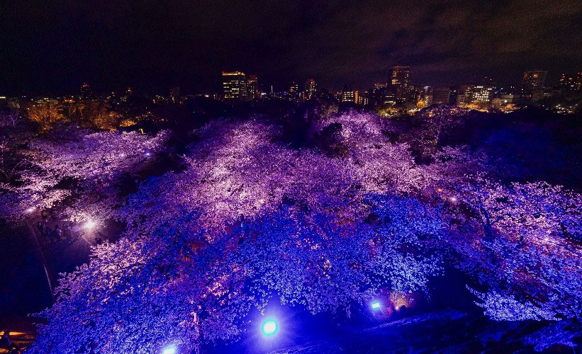 JRA�G�N�Z������Presents�@����