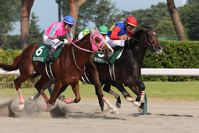 ライオットガール