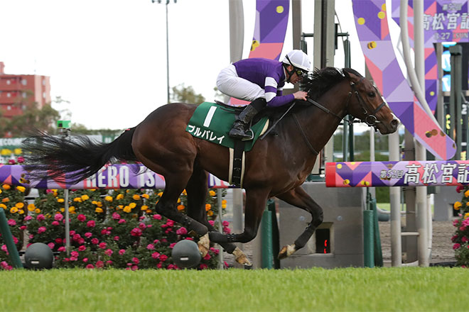 �v���p���C