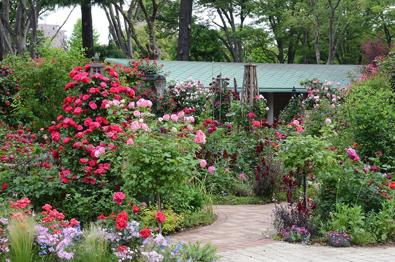 ローズガーデン
