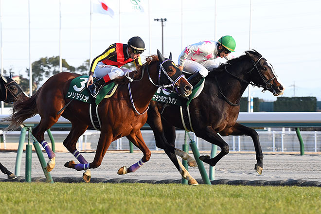 マテンロウオリオン
