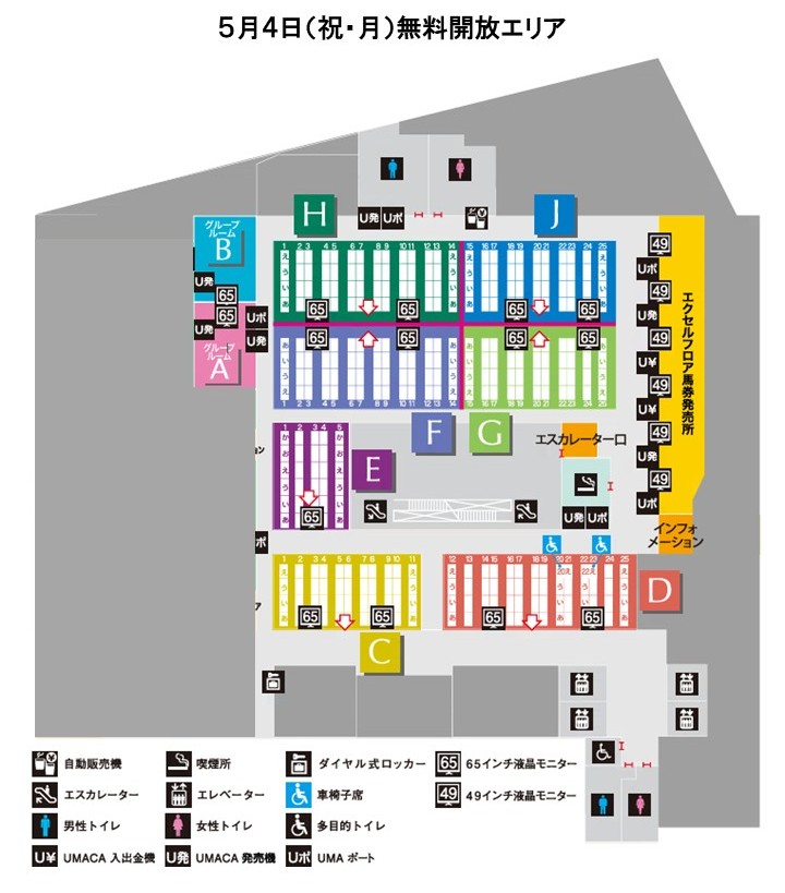 �����J���G���A