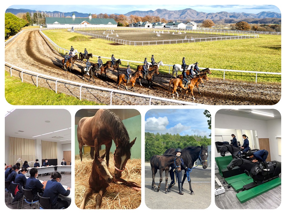 ���C���i