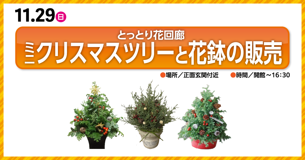 とっとり花回廊 ミニクリスマスツリーと花鉢の販売
