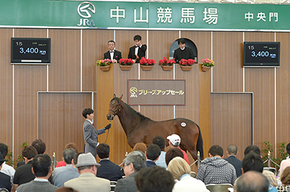 競走馬を購入するには 馬主になるには Jra