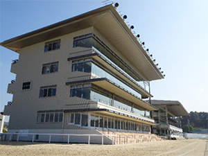 �V�����X�^���h