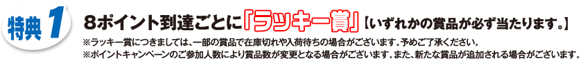 特典1 8ポイント到達ごとに「ラッキー賞」【いずれかの賞品が必ず当たります。】