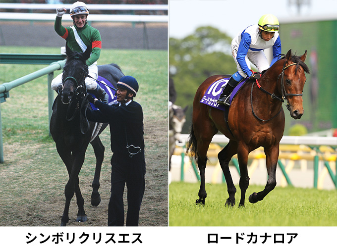 �V���{���N���X�G�X�@���[�h�J�i���A