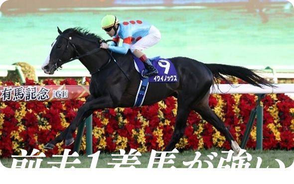 前走1着馬が強い