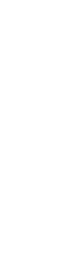 頂点を決める最終決戦
