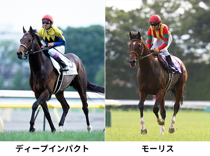 �f�B�[�v�C���p�N�g�ƃ��[���X