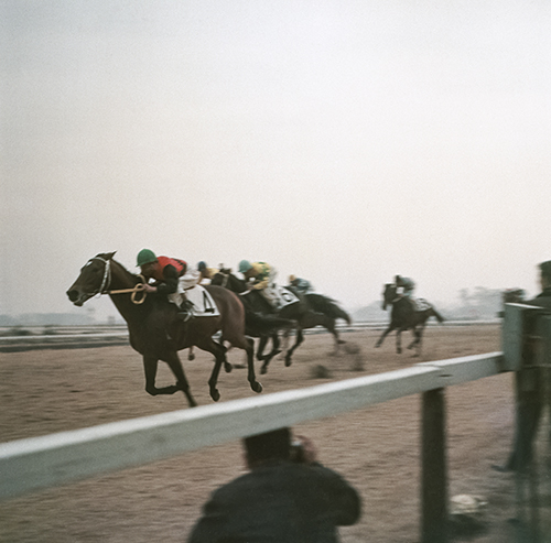 FILM
