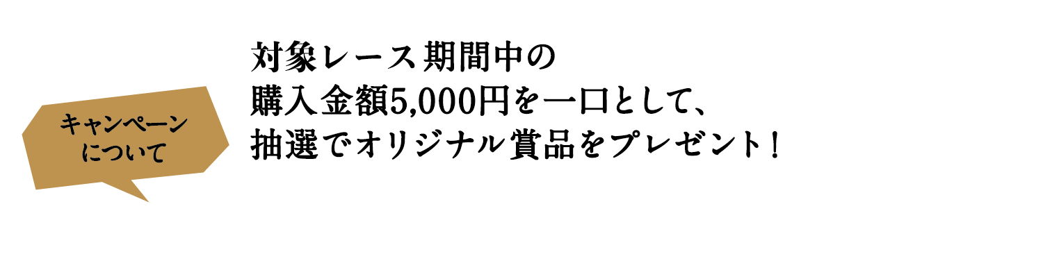 キャンペーン詳細