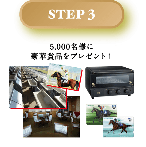 応募方法amp;STEP3
