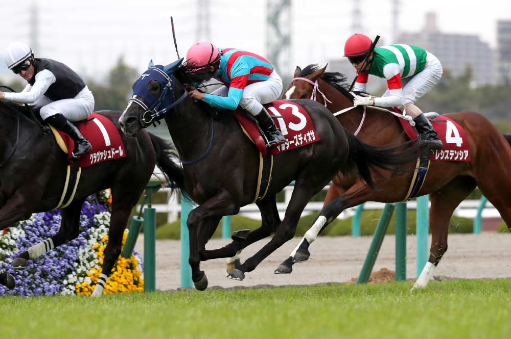 Jチューリップ賞優勝 マルターズディオサ