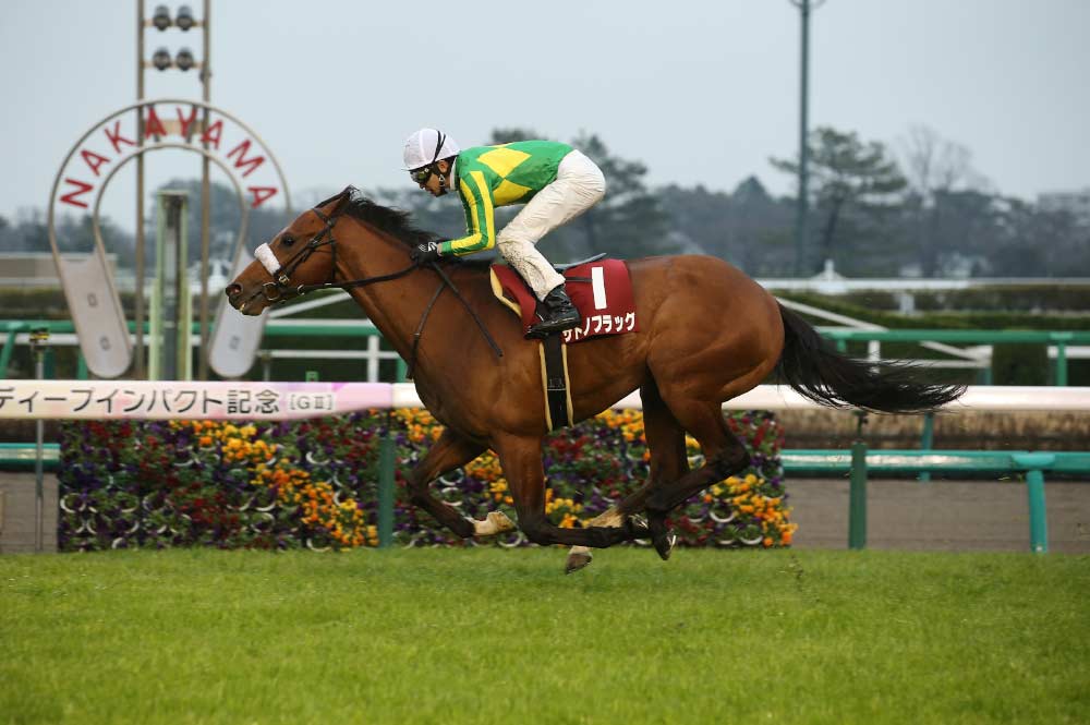 弥生賞ディープインパクト記念優勝　サトノフラッグ