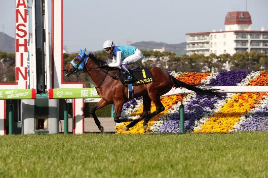 若葉Sを完勝したアドマイヤビルゴ