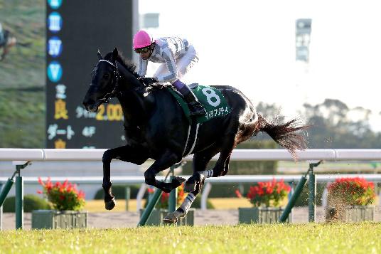 ◆本番での巻き返しが期待されるマイラプソディ