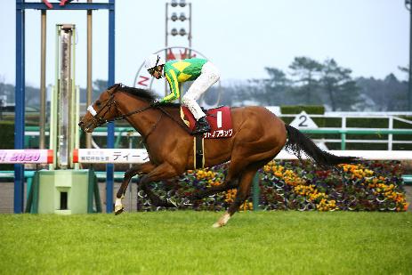 弥生賞ディープインパクト記念を完勝したサトノフラッグ