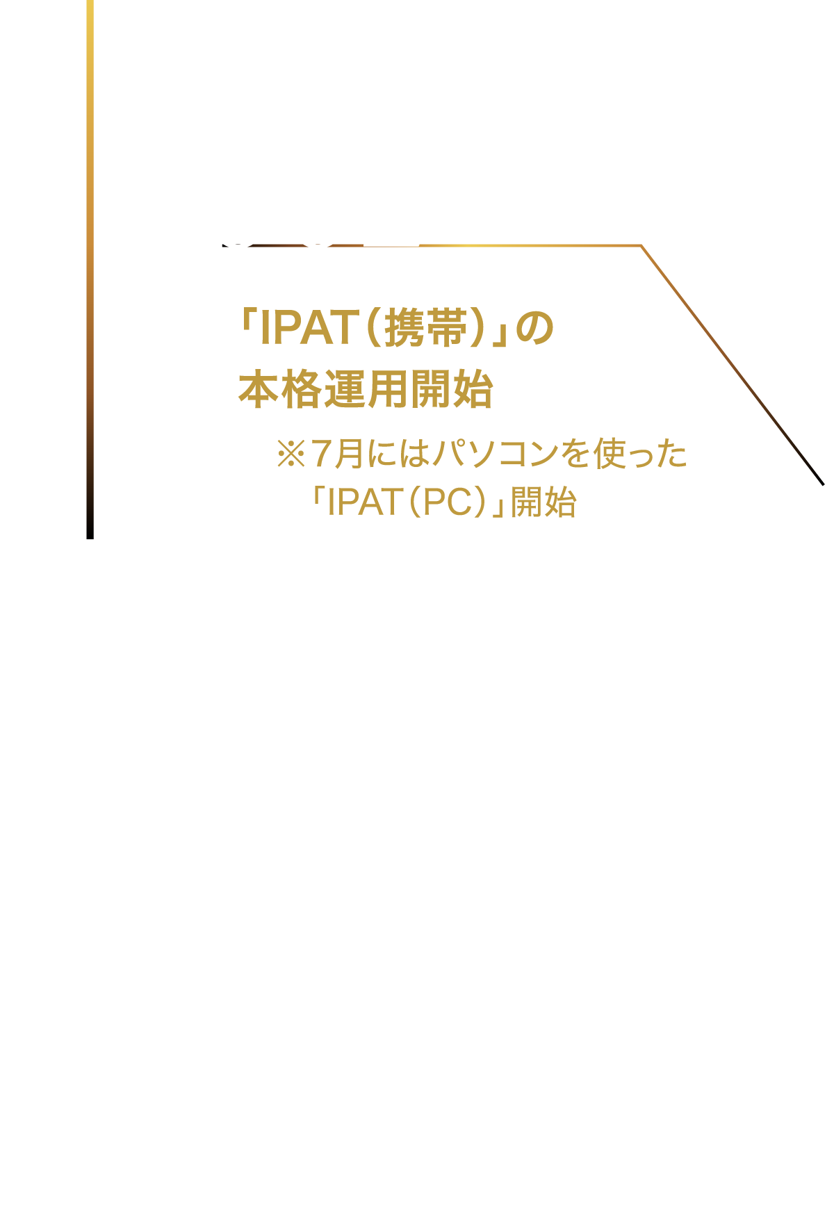 2002 3月 「IPAT（携帯）」の本格運用開始※７月にはパソコンを使った「IPAT（PC）」開始 携帯電話かパソコンがあれば、どこからでも馬券を買えるインターネットサービス「IPAT」が登場。馬券が一段と身近なものになった。